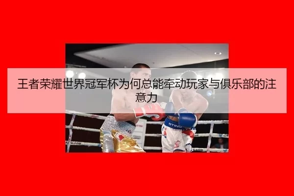 wang-zhe-rong-yao-shi-jie-guan-jun-bei-wei-he-zong-neng-qian-dong-wan-jia-yu-ju-le-bu-de-zhu-yi-li-2-533.jpg